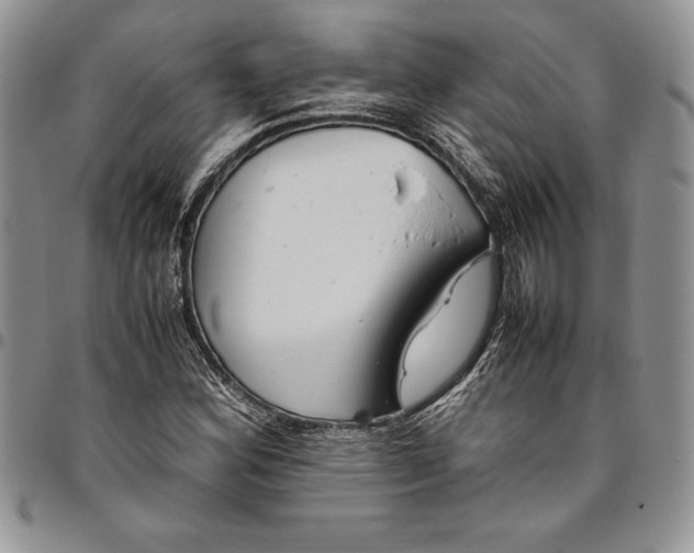 X0000094801164200711301533