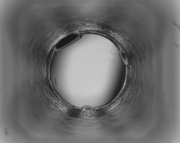 X0000094801165200711301533