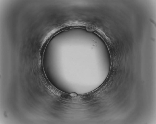 X0000094801167200711301533