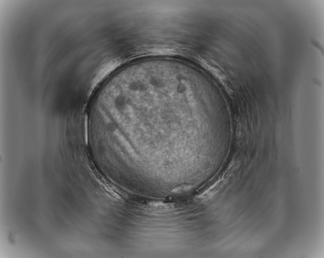 X0000094801171200711301533