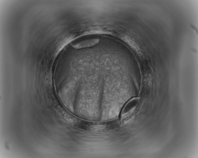 X0000094801173200711301533