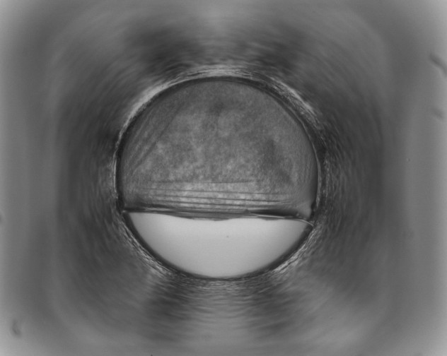 X0000094801174200711301533