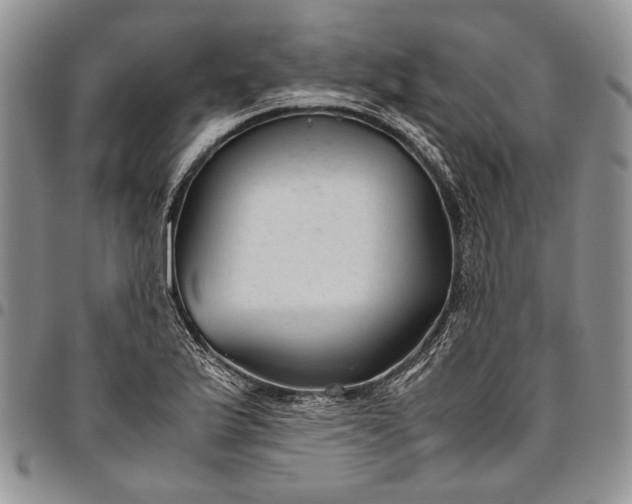 X0000094801175200711301533