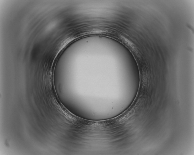 X0000094801178200711301533