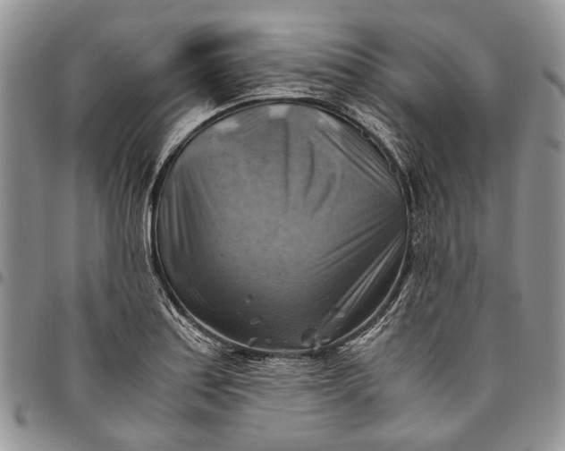 X0000094801179200711301533