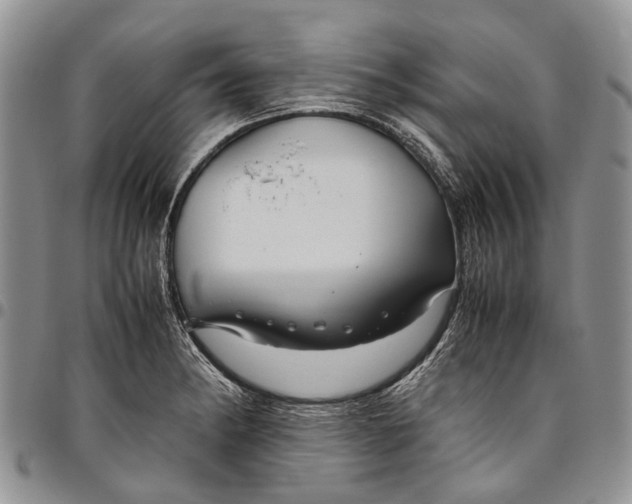 X0000094801182200711301533