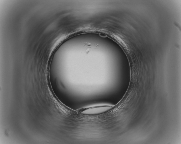 X0000094801183200711301533