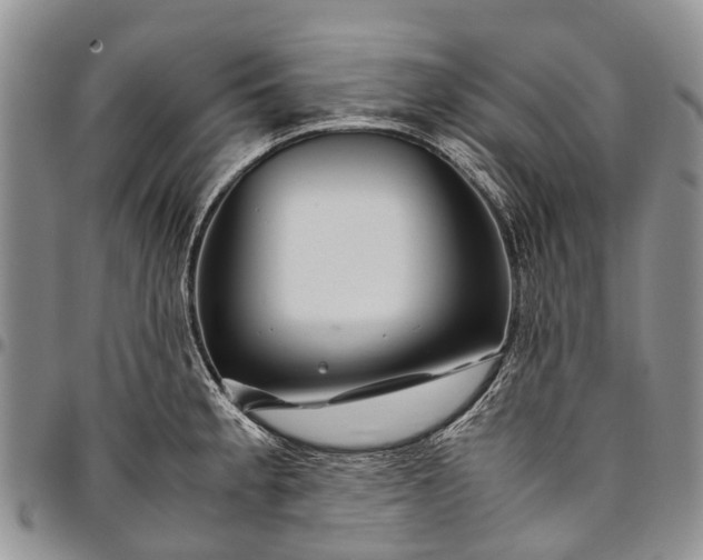 X0000094801189200711301533