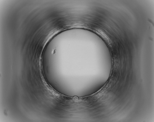X0000094801190200711301533