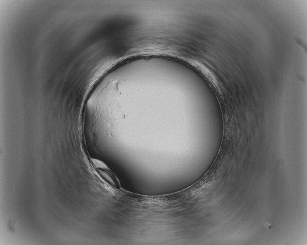 X0000094801191200711301533