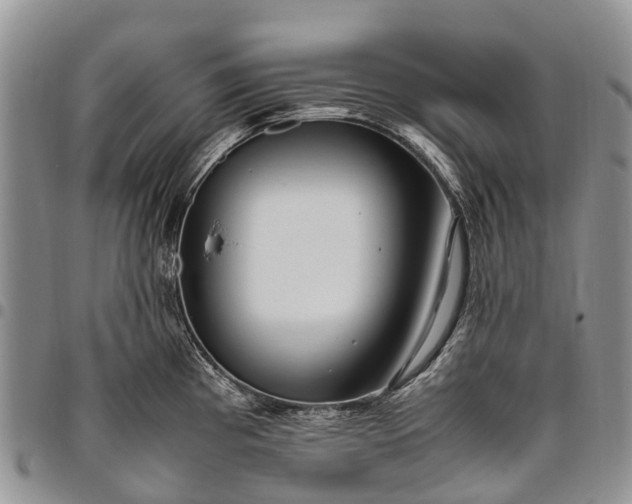 X0000094801193200711301533