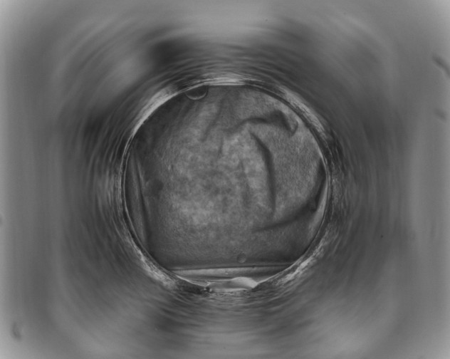 X0000094801194200711301533