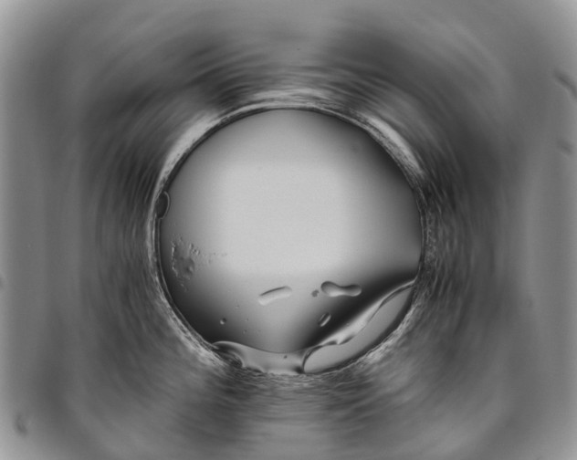 X0000094801196200711301533