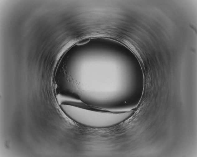 X0000094801197200711301533