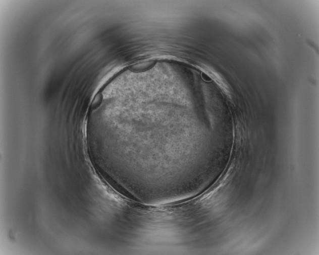 X0000094801198200711301533