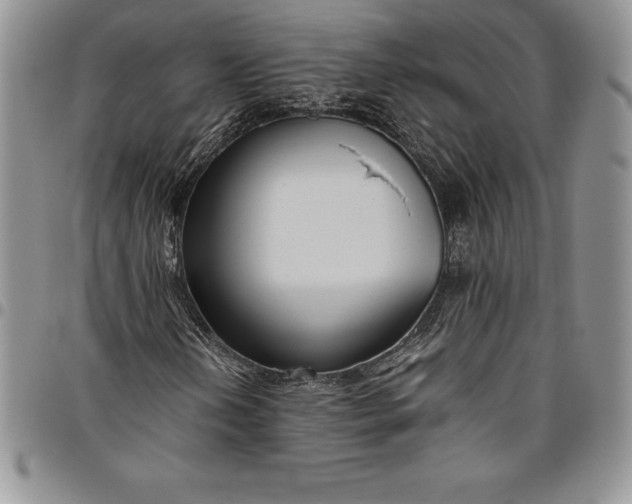 X0000094801202200711301532
