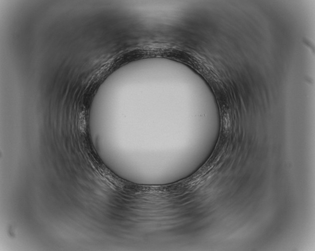X0000094801204200711301532