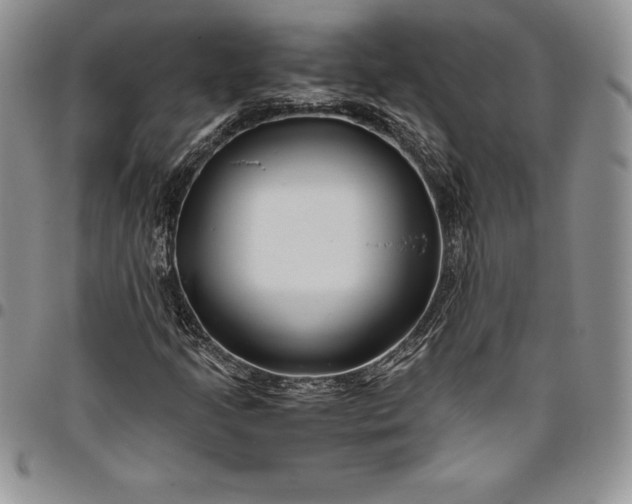 X0000094801205200711301532