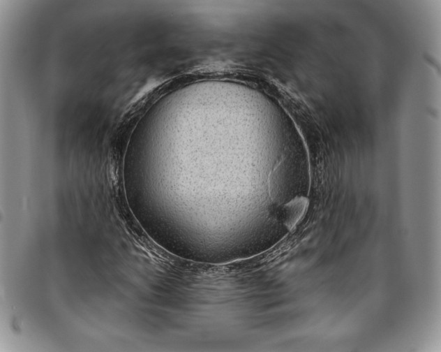 X0000094801206200711301532