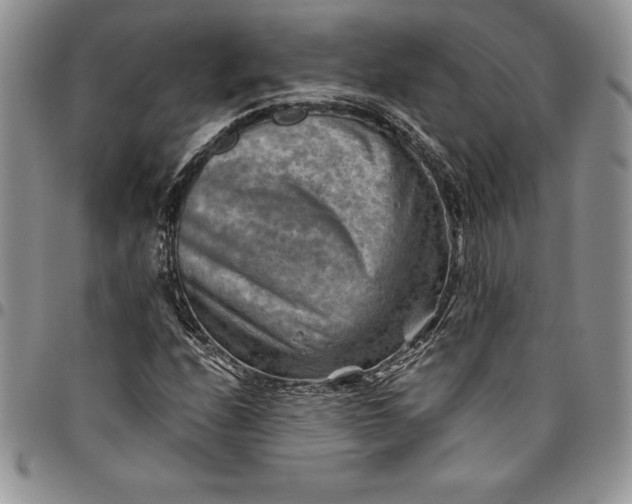 X0000094801208200711301532