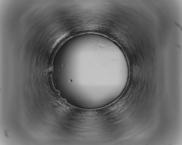 X0000094801210200711301532