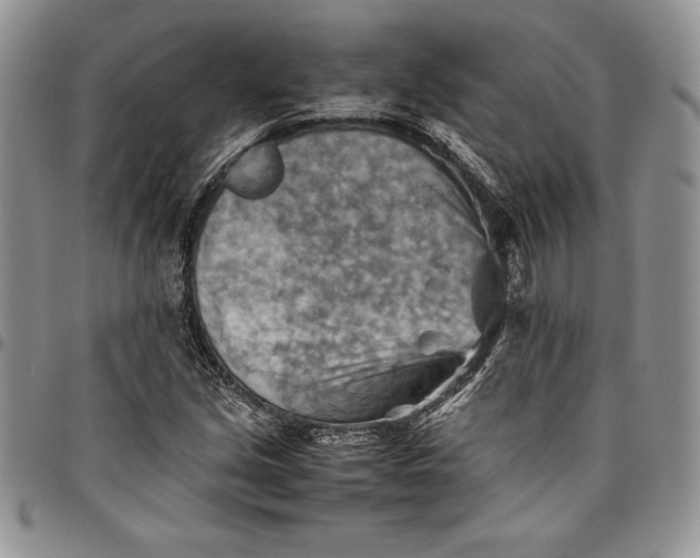 X0000094801213200711301532