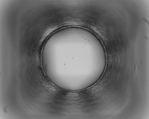 X0000094801215200711301532