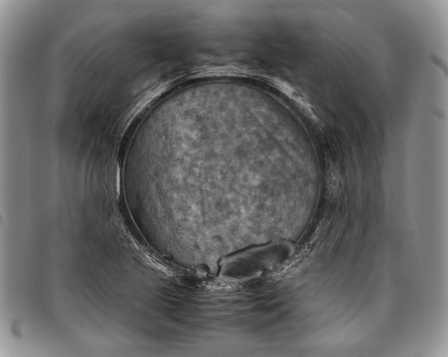 X0000094801221200711301532