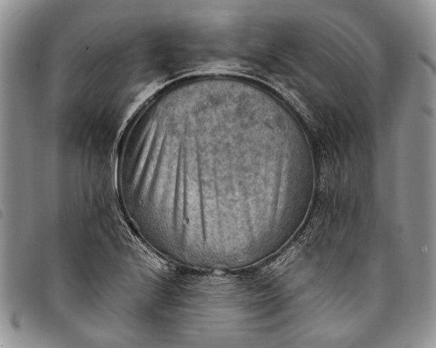 X0000094801224200711301532