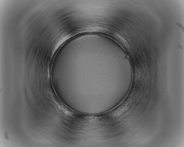 X0000094801226200711301532