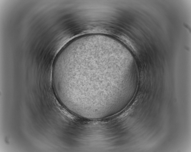 X0000094801228200711301532