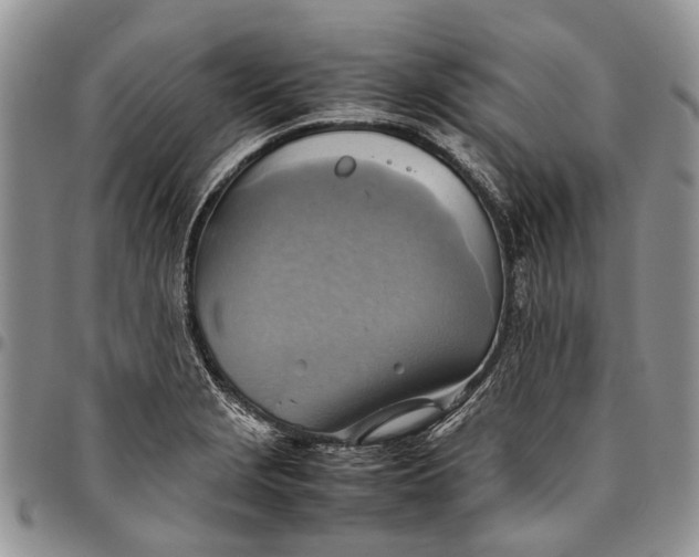 X0000094801229200711301532