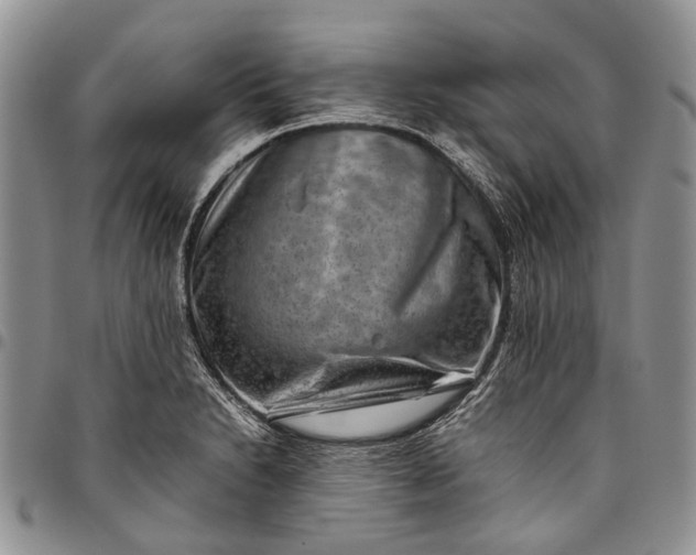 X0000094801230200711301532