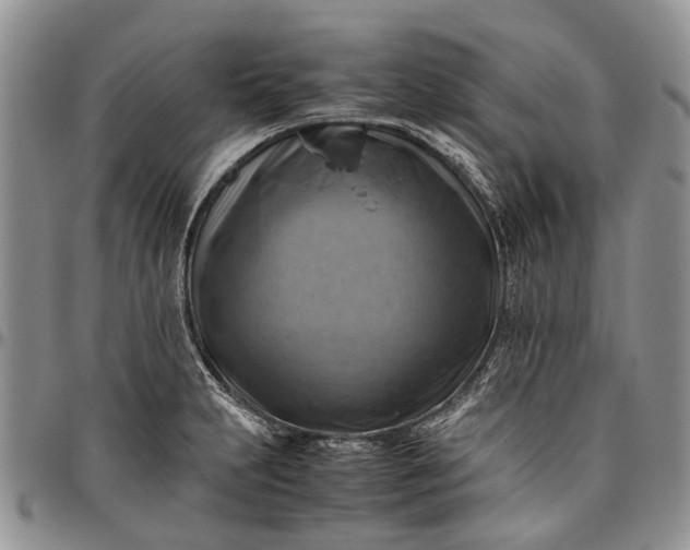 X0000094801231200711301532