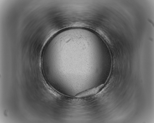 X0000094801232200711301532