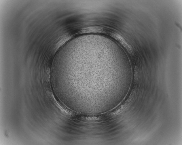 X0000094801233200711301532