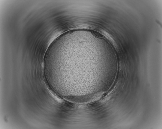 X0000094801234200711301532