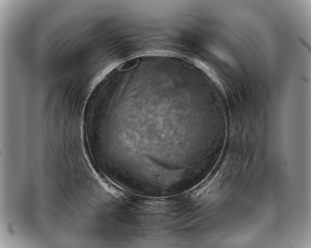 X0000094801237200711301532