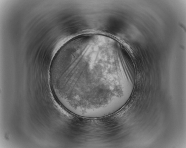 X0000094801239200711301532