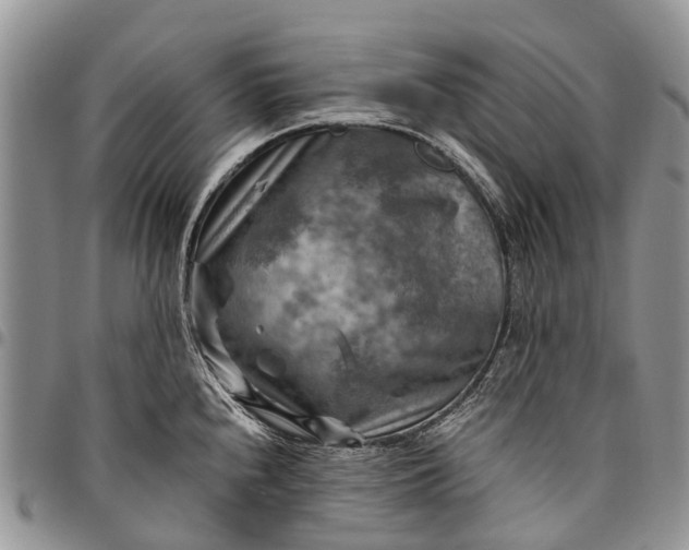 X0000094801240200711301532
