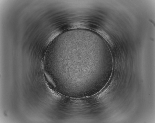 X0000094801241200711301532