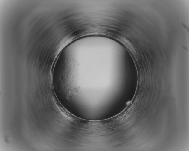 X0000094801242200711301532