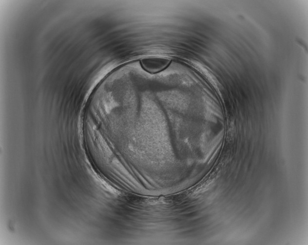 X0000094801243200711301532