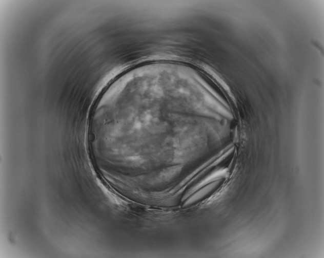 X0000094801245200711301532