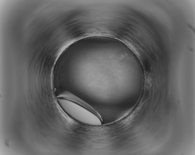 X0000094801246200711301533