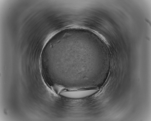 X0000094801247200711301533