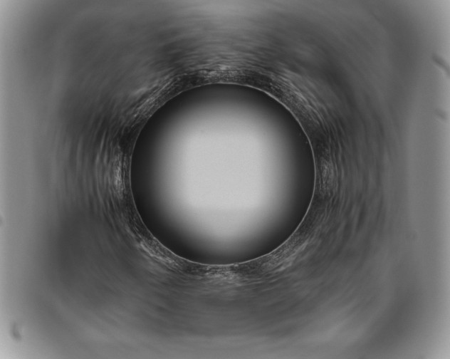 X0000094801250200711301532