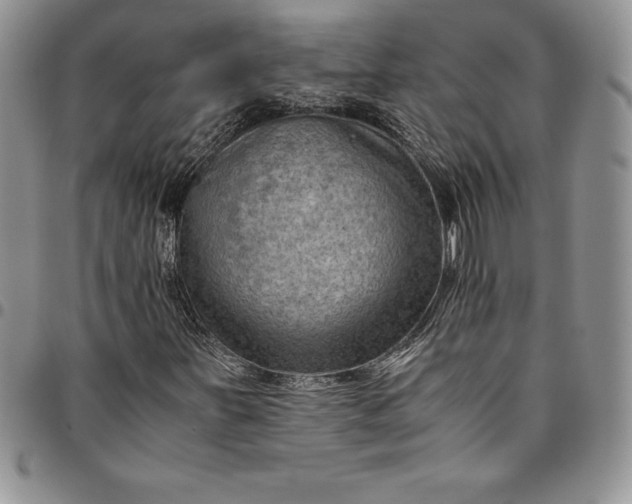 X0000094801251200711301532