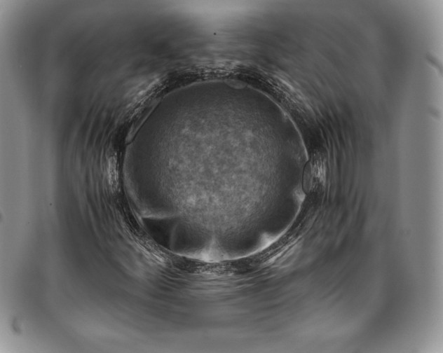 X0000094801252200711301532