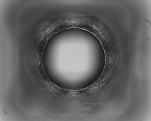 X0000094801253200711301532